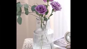 أواني زجاجية للزهور والنباتات