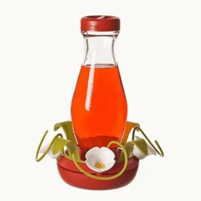 مغذيات طيور زجاجية